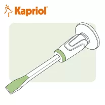 Kapriol vésőszárak