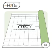 H2O