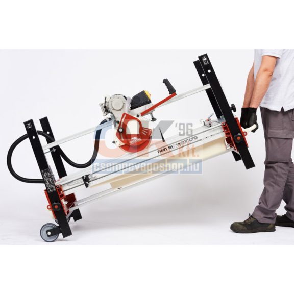 Raimondi PIKUS 130 vizesvágó 1100W D250    (r425adv)